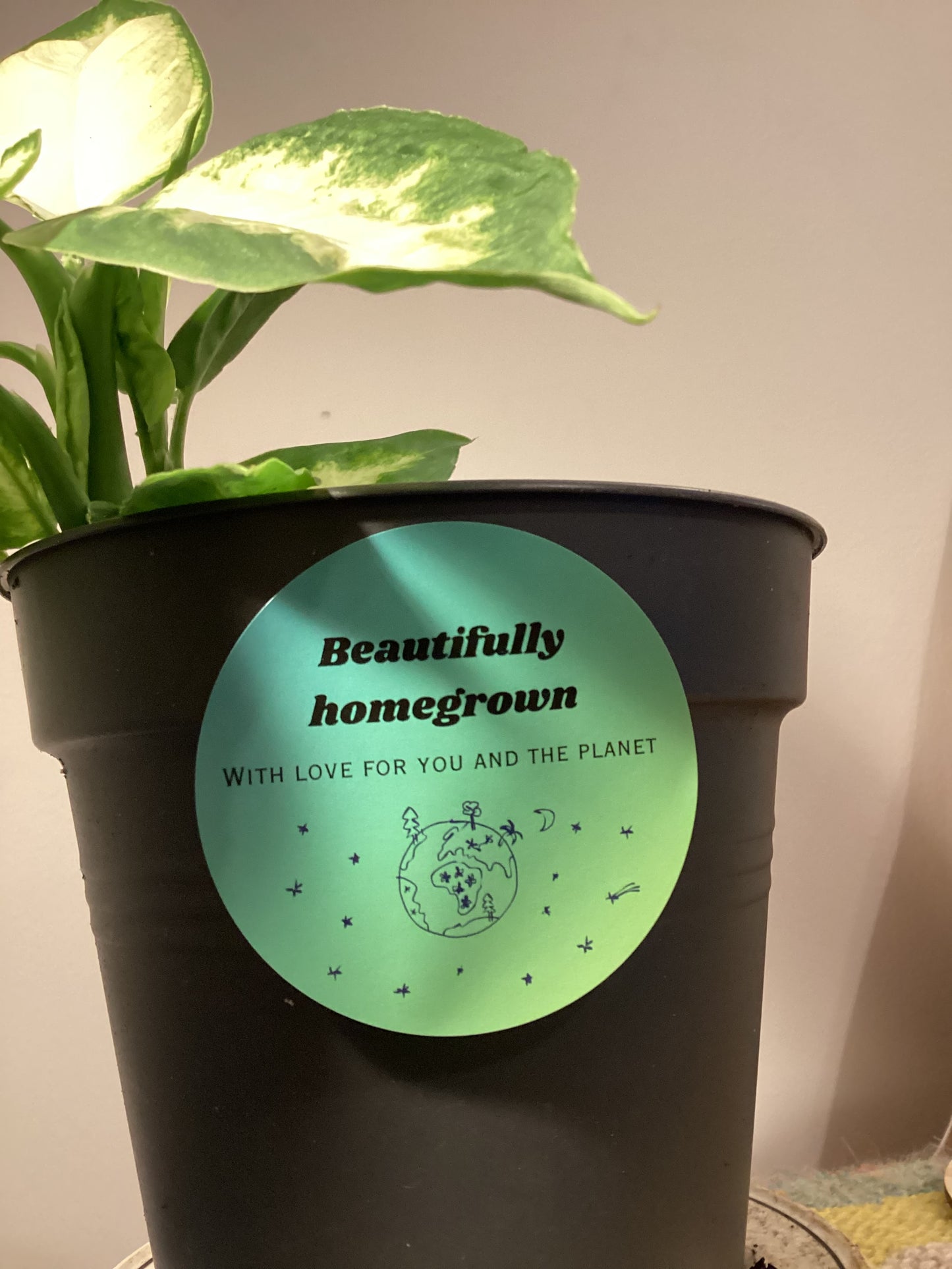 3) Sticker - Beautifully homegrown, with love for you and the planet